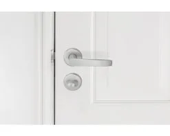 AXA Deurkruk Paar Curve Klik Met Kruk Curve Op Rozet Met WC-/badkamersluiting Aluminium F1 -Sloten Doorlock Shop DV 8 10602661 01 4c DE 20221005104757 1