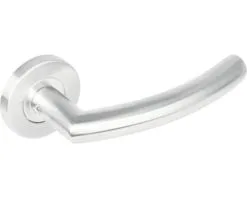 INTERSTEEL Deurkruk Paar Halfrond 90° Op Rozet RVS Geborsteld