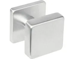 INTERSTEEL Voordeurknop Centraal 53x53 Mm RVS Geborsteld