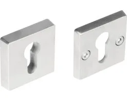 INTERSTEEL Veiligheidsrozet 52x52 Mm RVS Geborsteld, 2 Stuks