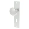 AMI Kastschild Met Knop SL56 Aluminium F1