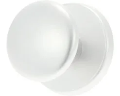 AMI Voordeurknop Bol Ø 60/75 Mm Aluminium F1